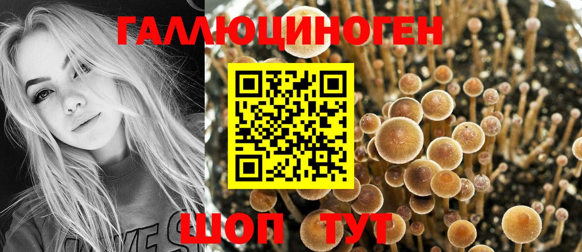 Псилоцибиновые грибы Magic Shrooms Белогорск