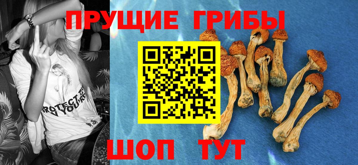 что такое   Псилоцибиновые грибы MAGIC MUSHROOMS  Вход с VPN  Белогорск 